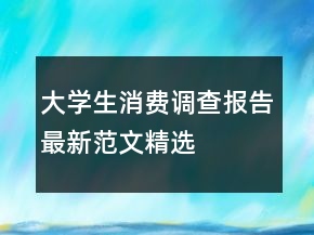 大學(xué)生消費(fèi)調(diào)查報告最新范文精選