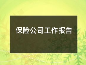 保險公司工作報告
