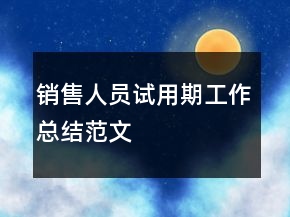 銷(xiāo)售人員試用期工作總結(jié)范文