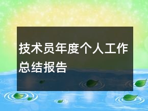 技術員年度個人工作總結報告