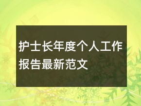 護士長年度個人工作報告最新范文