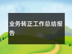 業(yè)務(wù)轉(zhuǎn)正工作總結(jié)報(bào)告