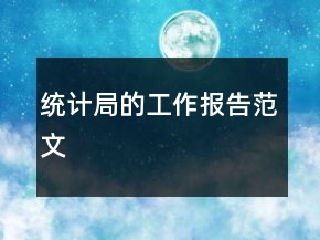 統(tǒng)計(jì)局的工作報告范文