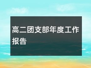 高二團(tuán)支部年度工作報(bào)告