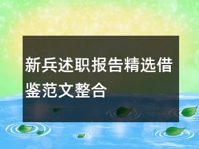 新兵述職報告精選借鑒范文整合