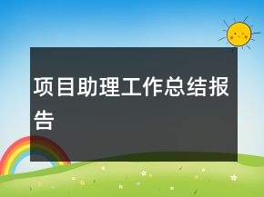 項目助理工作總結(jié)報告