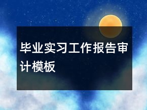 畢業(yè)實(shí)習(xí)工作報(bào)告審計(jì)模板