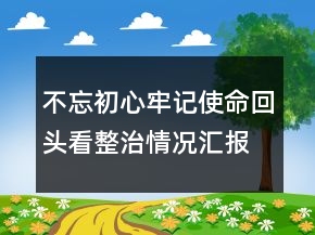 不忘初心牢記使命回頭看整治情況匯報(bào)精選
