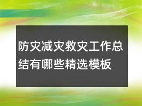 防災(zāi)減災(zāi)救災(zāi)工作總結(jié)有哪些精選模板