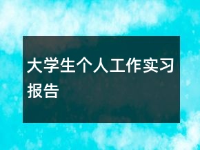 大學生個人工作實習報告