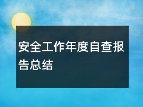 安全工作年度自查報告總結(jié)