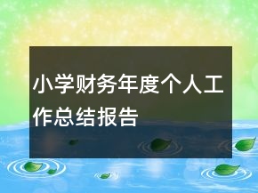 小學財務年度個人工作總結(jié)報告