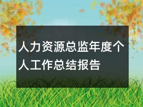 人力資源總監(jiān)年度個人工作總結(jié)報告