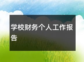 學校財務個人工作報告