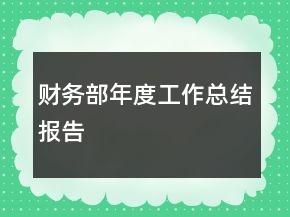 財務部年度工作總結報告