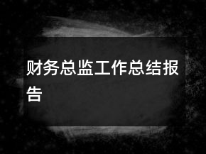 財務(wù)總監(jiān)工作總結(jié)報告