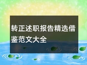 轉(zhuǎn)正述職報(bào)告精選借鑒范文大全