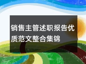 銷售主管述職報(bào)告優(yōu)質(zhì)范文整合集錦