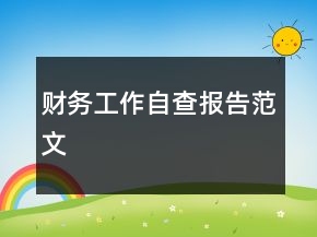 財務(wù)工作自查報告范文