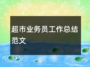 超市業(yè)務(wù)員工作總結(jié)范文
