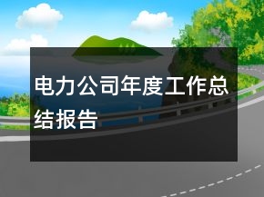 電力公司年度工作總結(jié)報告