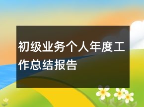 初級業(yè)務(wù)個人年度工作總結(jié)報告