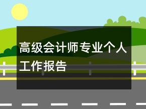 高級會計師專業(yè)個人工作報告