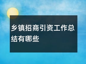 鄉(xiāng)鎮(zhèn)招商引資工作總結(jié)有哪些