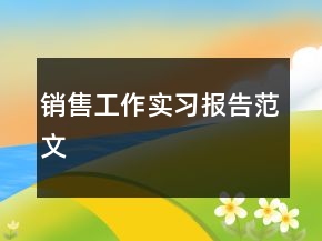 銷售工作實(shí)習(xí)報(bào)告范文