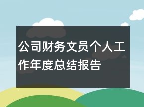 公司財(cái)務(wù)文員個(gè)人工作年度總結(jié)報(bào)告