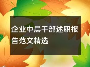 企業(yè)中層干部述職報(bào)告范文精選