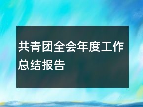 共青團(tuán)全會(huì)年度工作總結(jié)報(bào)告