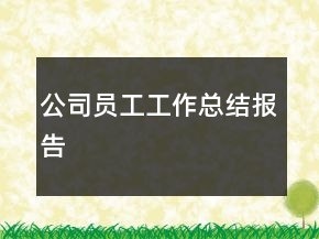 公司員工工作總結報告