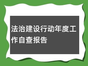 法治建設(shè)行動(dòng)年度工作自查報(bào)告