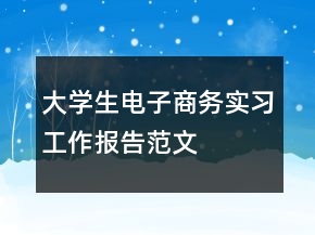 大學(xué)生電子商務(wù)實(shí)習(xí)工作報(bào)告范文