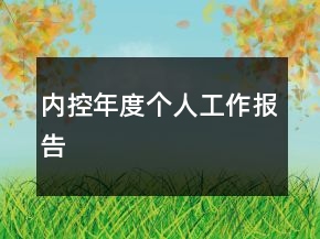 內(nèi)控年度個(gè)人工作報(bào)告