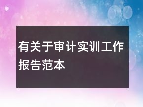 有關(guān)于審計(jì)實(shí)訓(xùn)工作報(bào)告范本