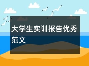 大學(xué)生實(shí)訓(xùn)報(bào)告優(yōu)秀范文
