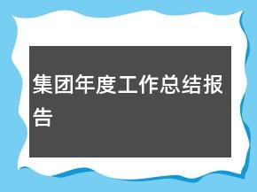 集團年度工作總結(jié)報告