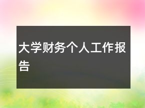 大學(xué)財(cái)務(wù)個人工作報(bào)告