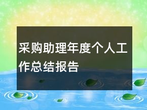 采購(gòu)助理年度個(gè)人工作總結(jié)報(bào)告