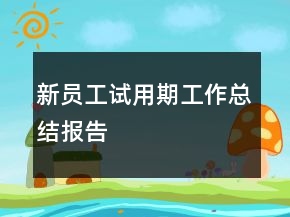 新員工試用期工作總結(jié)報(bào)告
