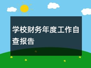 學(xué)校財(cái)務(wù)年度工作自查報(bào)告