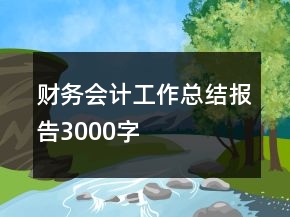 財(cái)務(wù)會計(jì)工作總結(jié)報(bào)告3000字