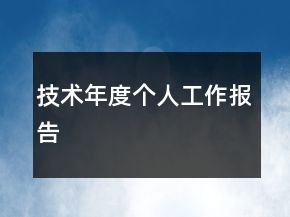 技術(shù)年度個人工作報告