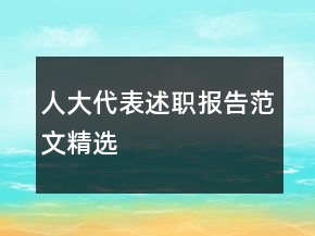 人大代表述職報告范文精選