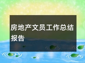 房地產文員工作總結報告