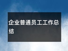 企業(yè)普通員工工作總結(jié)