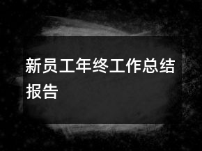 新員工年終工作總結(jié)報(bào)告