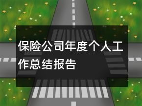 保險(xiǎn)公司年度個(gè)人工作總結(jié)報(bào)告